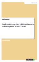 Implementierung eines effektiven internen Kontrollsystems in einer GmbH