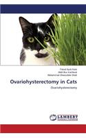 Ovariohysterectomy in Cats