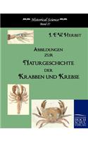 Abbildungen zur Naturgeschichte der Krabben und Krebse