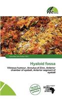 Hyaloid Fossa