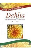 Dahlia: Prepetution And Propagation