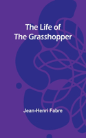 The Life of the Grasshopper