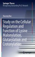 Study on the Cellular Regulation and Function of Lysine Malonylation, Glutarylation and Crotonylation