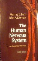 The human nervous system: An anatomical viewpoint