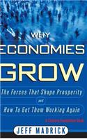 Why Economies Grow
