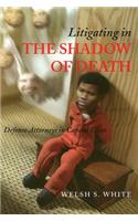 Litigating in the Shadow of Death