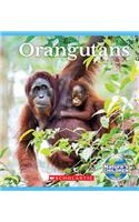 Orangutans (Nature's Children)
