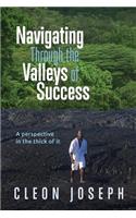 Navigating Through the Valleys of Success: A Perspective in the Thick of It: A Perspective in the Thick of It