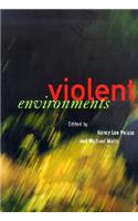 Violent Environments