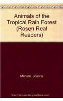 Animals of the Tropical Rain Forest