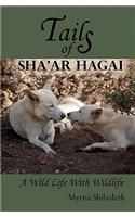 Tails of Sha'ar Hagai