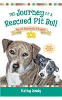 Journey of a Rescued Pit Bull