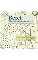 Beech