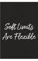 Soft Limits Are Flexible: BDSM, Kink, and Fetish Scene Reflection and Growth Log