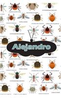 Alejandro: Bug Insect Weekly Planer Book Notebook Journal Book 120 Pages 6x9