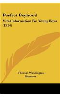 Perfect Boyhood