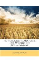 Pathologische Anatomie Der Weiblichen Sexualorgane