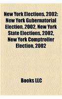 New York Elections, 2002