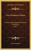 Curae Hexaplares In Jobum