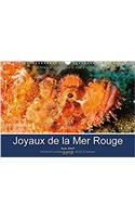 Joyaux De La Mer Rouge 2018