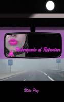 Ruborizando Al Retrovisor: (Spanish)
