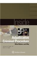 Inside Adjudicative Criminal Procedure