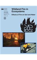 Wildland Fire in Ecosystems