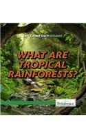 What Are Tropical Rainforests?