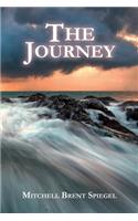 The Journey: A Family's Firsthand ALS Account(English)