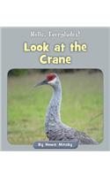 Look at the Crane