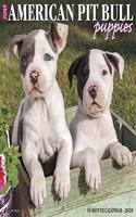 Just American Pit Bull Terrier Puppies 2020 Wall Calendar (Dog Breed Calendar)