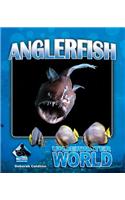 Anglerfish