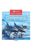 Dolphins