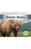 Grizzly Bears