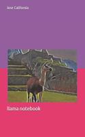 llama notebook
