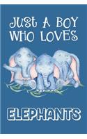 Just A Boy Who Loves Elephants