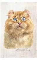 American Curl Cat Portrait Notebook: Blank Lined Journal for Cat Lovers, Cat Mom, Cat Dad and Pet Owners - 6x9 with College Ruled Pages(35 Watercolor Cat Journals)