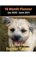 Jan 2020 - June 2021 18 Month Planner