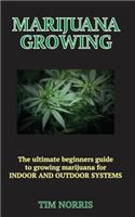 Marijuana Growing