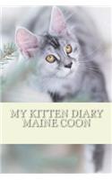 My kitten diary