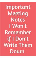 Important Meeting Notes I Won't Remember If I Don't Write Them Down: Blank Lined Journal - Office Worker Journal