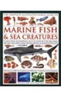 The Complete Illustrated World Guide To Marrine Fish & Sea Creatures