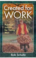 Created for Work: Practical Insights for Young Men