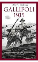 Gallipoli 1915
