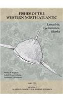 Lancelets, Cyclostomes, Sharks