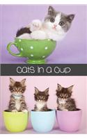 Cats in a Cup