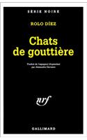 Chats de Gouttiere Ste