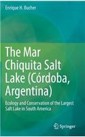 The Mar Chiquita Salt Lake (Córdoba, Argentina)