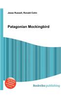 Patagonian Mockingbird: (English)