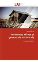 Immeubles Affines Et Groupes de Kac-Moody